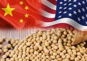 Chinese Demand Supports US Soybean Prices as Export&hellip;