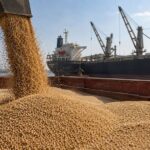 FAO Lowers Global Cereal Trade Forecast to 505.8 Million Tonnes for 2026–27