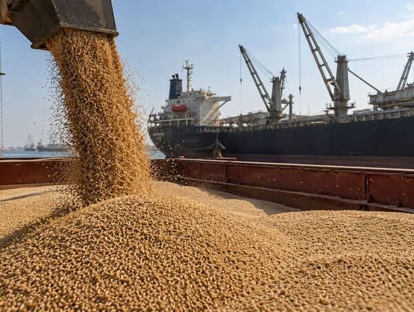 FAO Lowers Global Cereal Trade Forecast to 505.8…