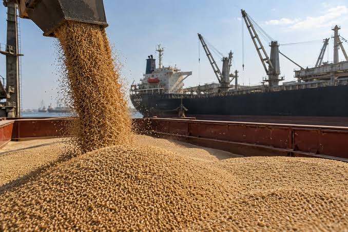 FAO Lowers Global Cereal Trade Forecast to 505.8 Million Tonnes for 2026–27