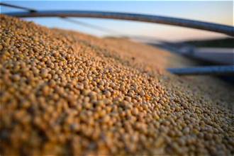 Brazil’s Soybean Exports Intensify Competition in US Grain…