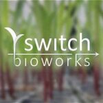 Bayer and Switch Bioworks Join Forces to Explore Biological Nitrogen Fixation for Agriculture