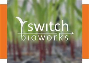 Bayer and Switch Bioworks Join Forces to Explore&hellip;