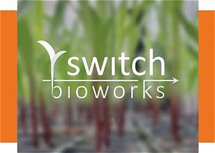 Bayer and Switch Bioworks Join Forces to Explore Biological Nitrogen Fixation for Agriculture